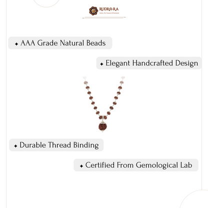 5 Mukhi Rudraksha Mala with 7 Mukhi Bindu bead Indonesian