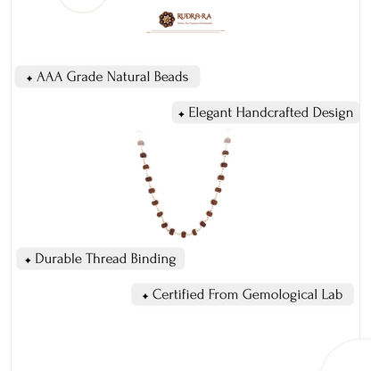 5_mukhi_rudraksh_mala_silver_simple05
