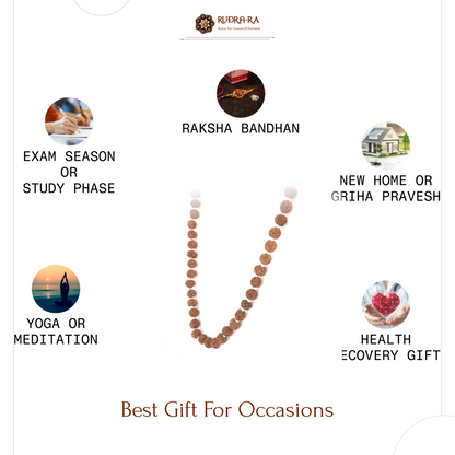 5 Mukhi Rudraksha Mala_08