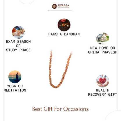 5_mukhi_rudraksh_mala7_08