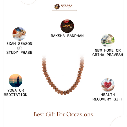 10_mukhi_rudraksh_mala_07