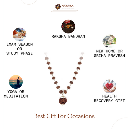 5 Mukhi Rudraksha Mala with 7 Mukhi Bindu bead Indonesian