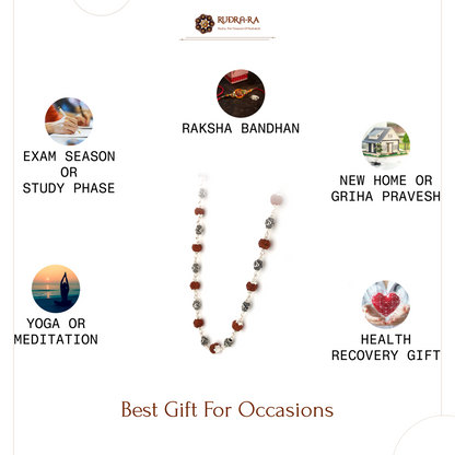 5_mukhi_rudraksh_mala_silver_06