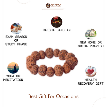 7_mukhi_brace_005
