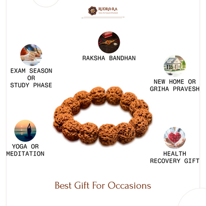 5_mukhi_bracelet016