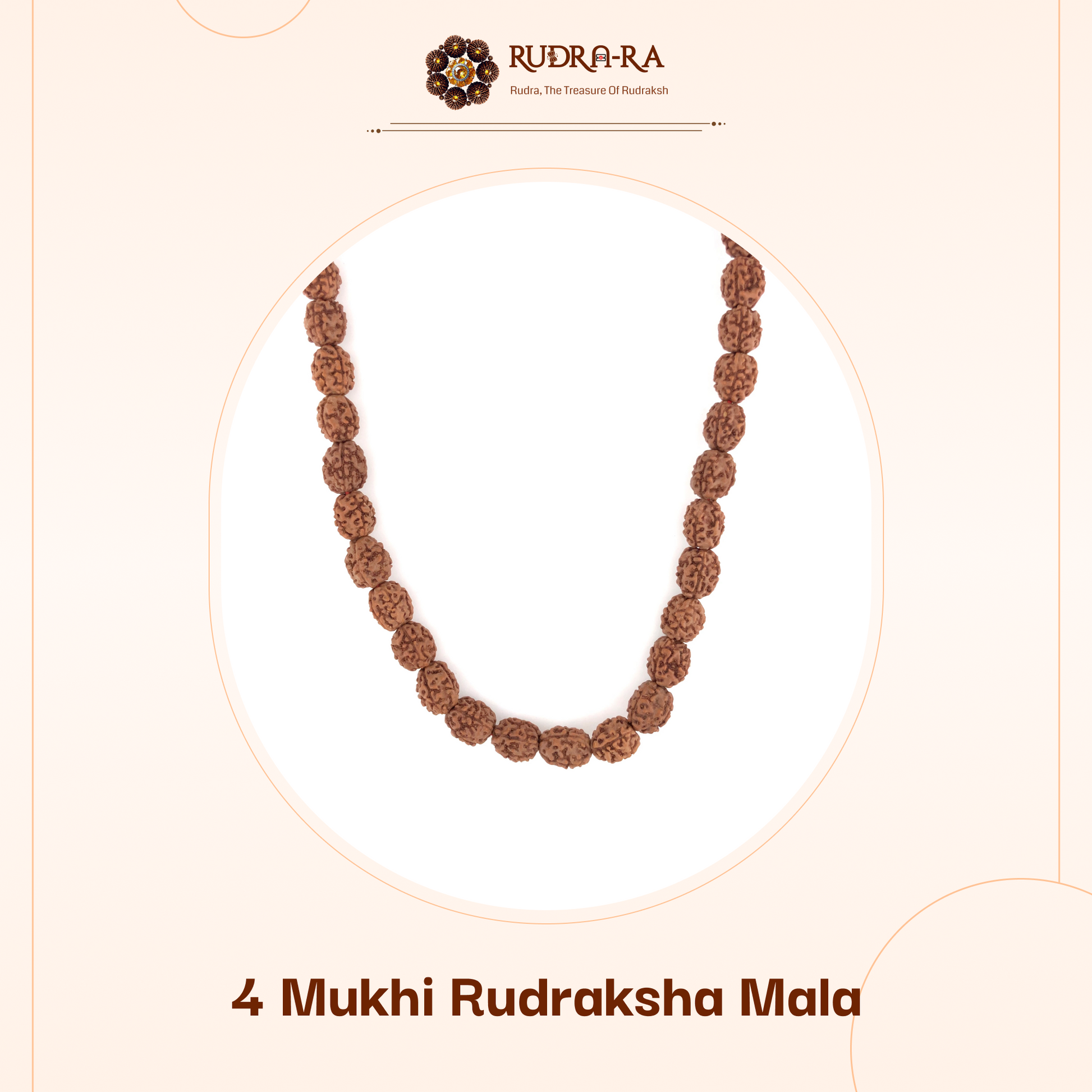 4_mukhi_rudraksh_indo_02
