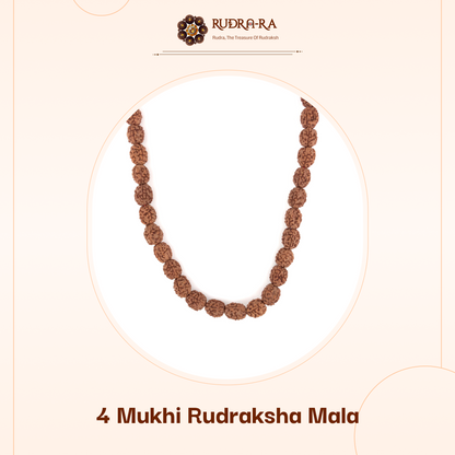 4_mukhi_rudraksh_indo_02