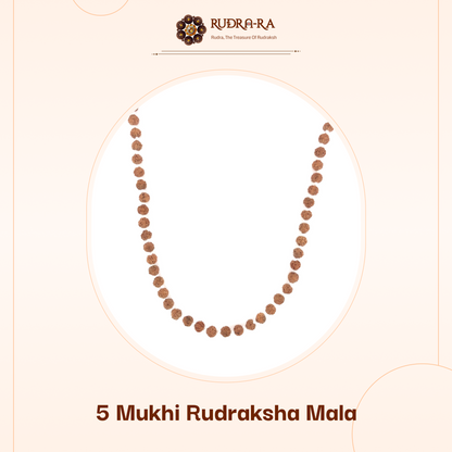 5_mukhi_rudraksh_mala_indonesian_02