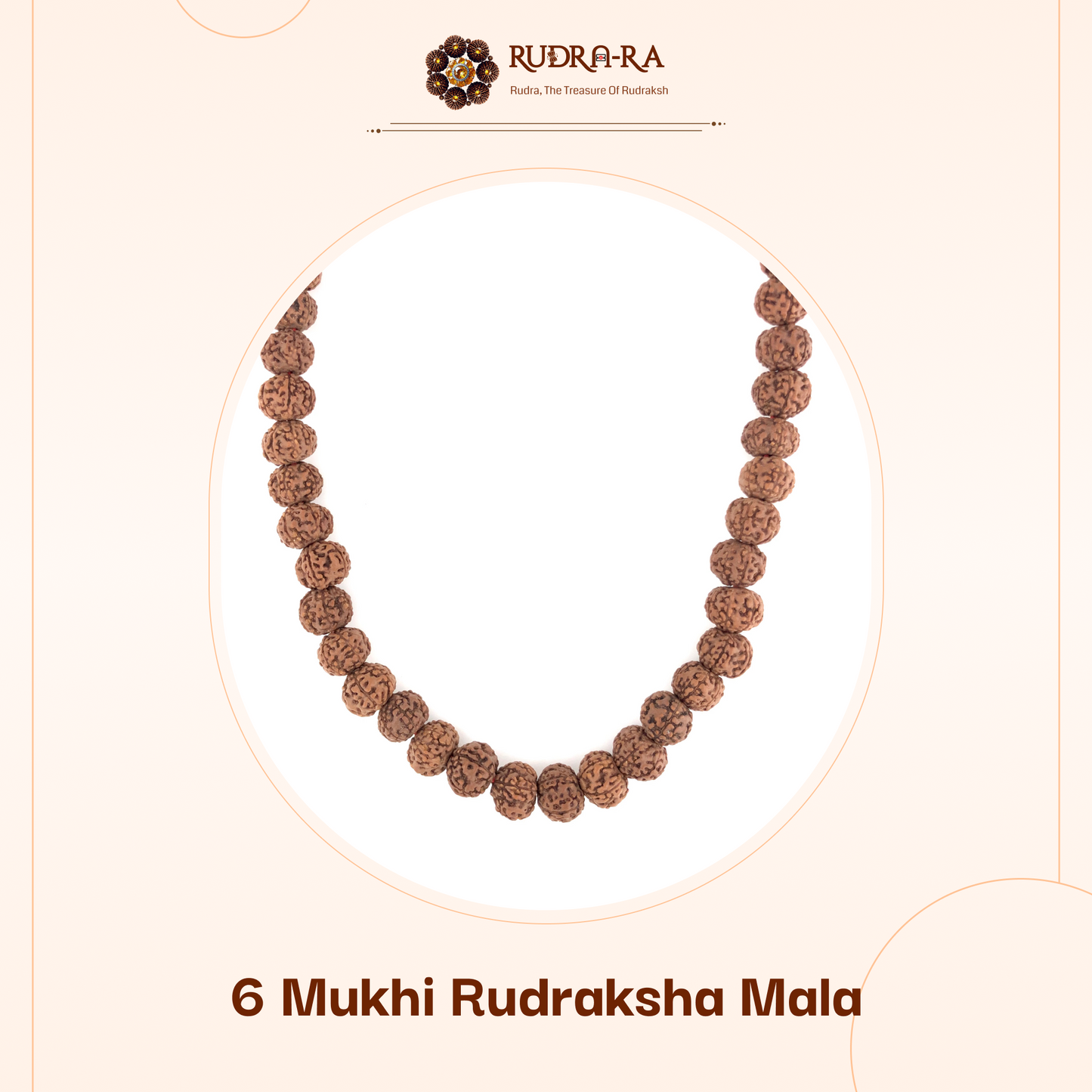 6_mukhi_mala_02