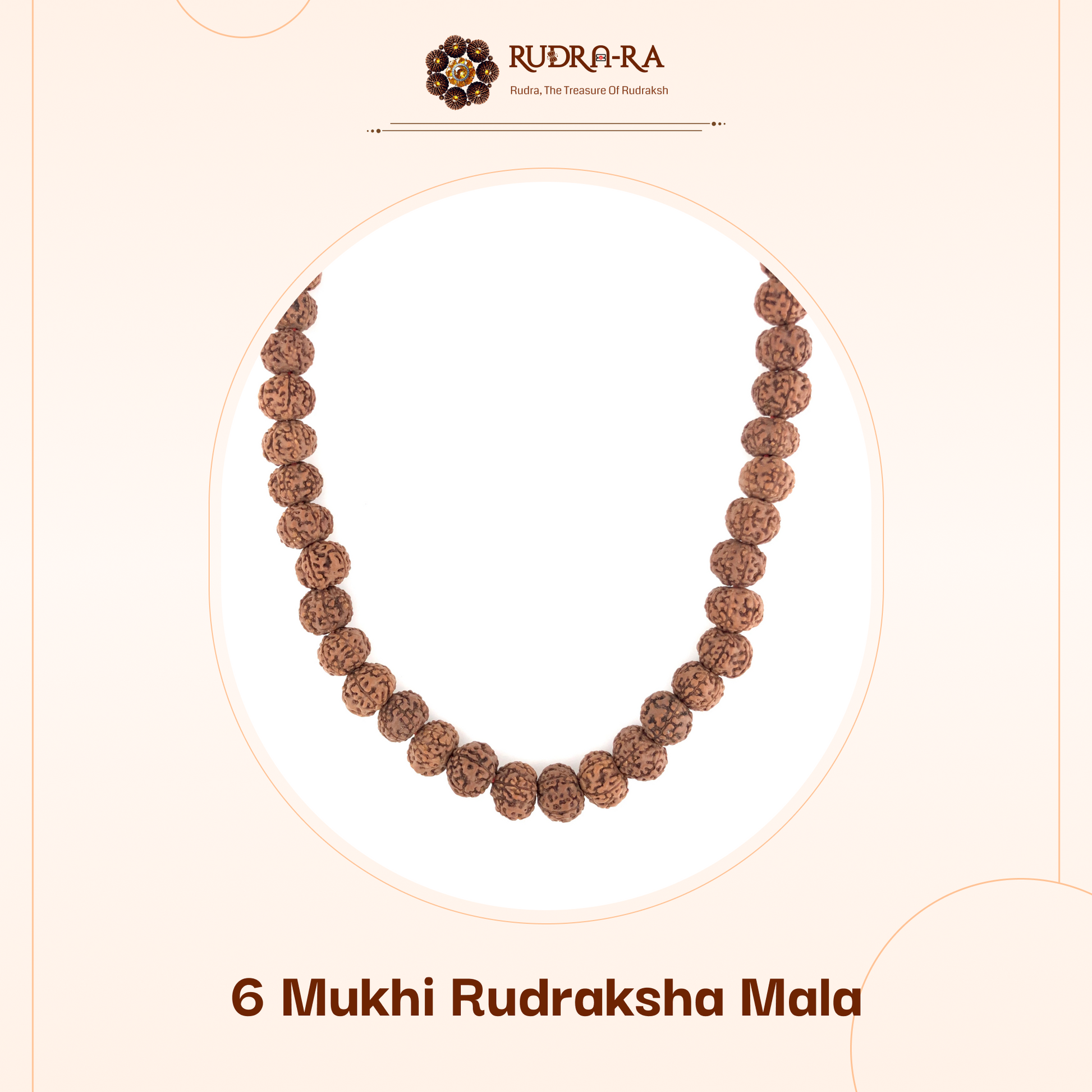6_mukhi_mala_02