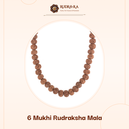6_mukhi_mala_02