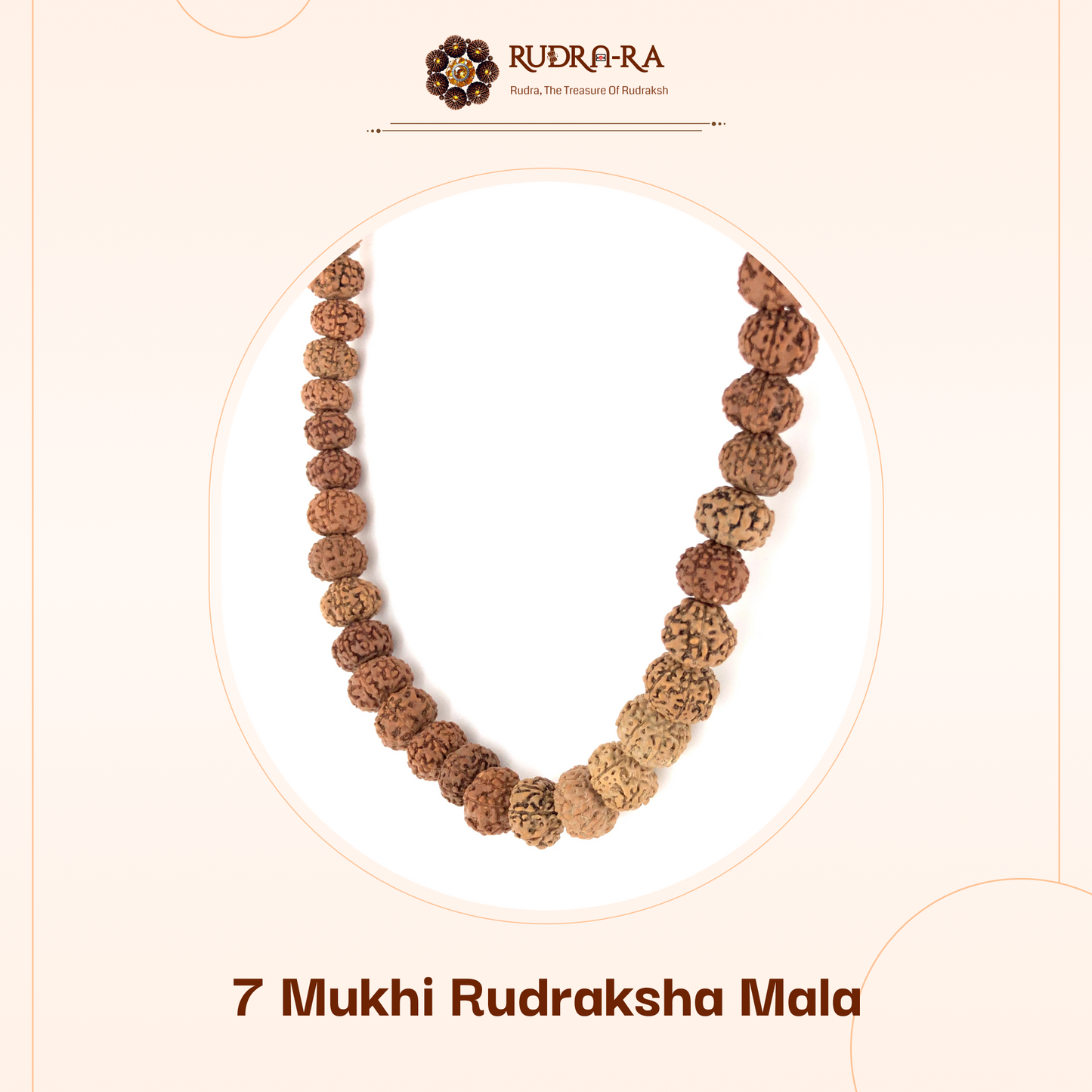 7_mukhi_rudraksh_mala_02