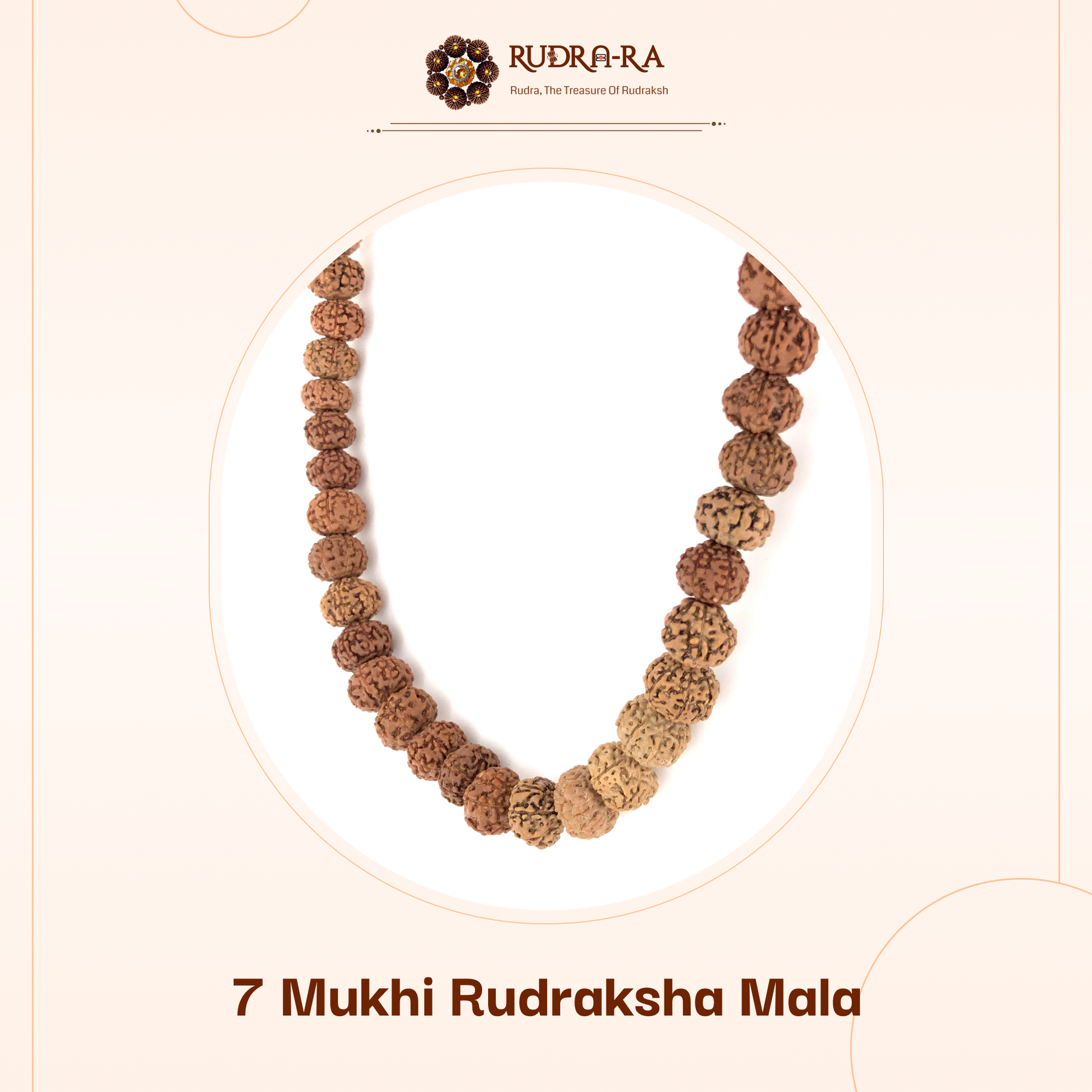 7_mukhi_rudraksh_mala_02