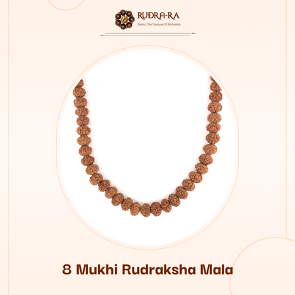 8_mukhi_rudraksh_mala_02