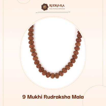 9_mukhi_rudraksh_mala_02