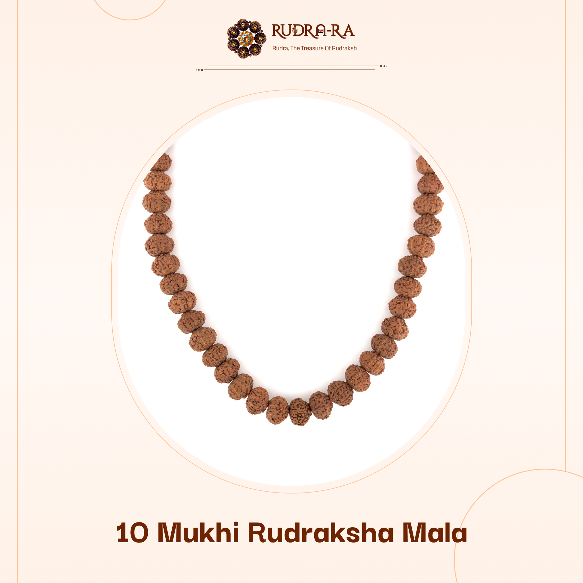 10_mukhi_rudraksh_mala_02