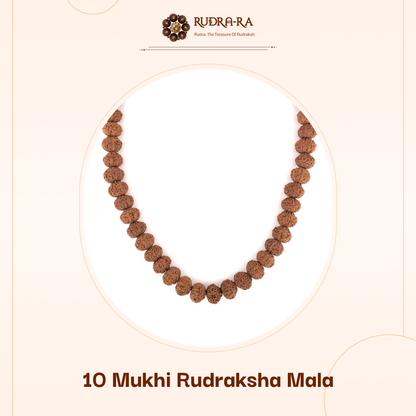 10_mukhi_rudraksh_mala_02