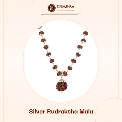 5 Mukhi Rudraksha Mala with 7 Mukhi Bindu bead Indonesian