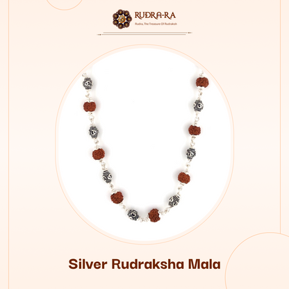 5_mukhi_rudraksh_mala_silver_01