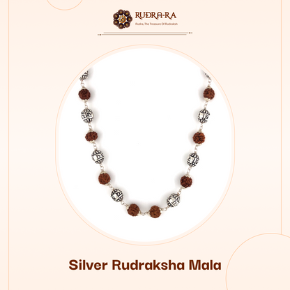 5_mukhi_silver_indo