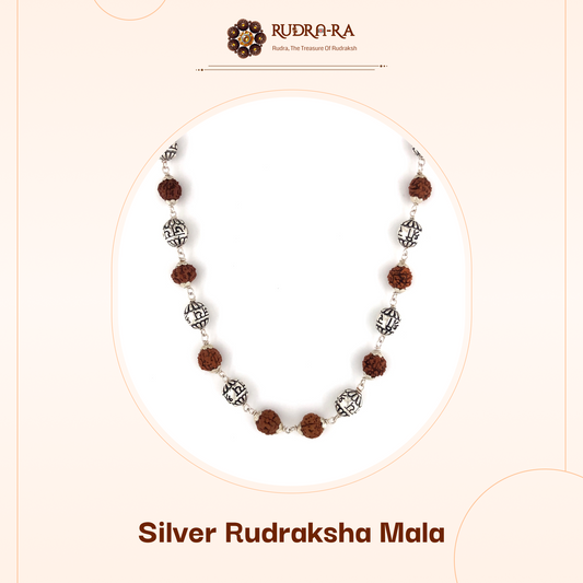 5_mukhi_silver_indo
