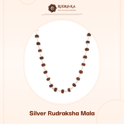 5_mukhi_rudraksh_mala_silver_simple01