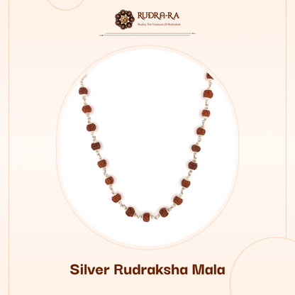 5_mukhi_rudraksh_mala_silver_simple201