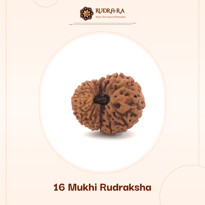 16_mukhi_rudra_02