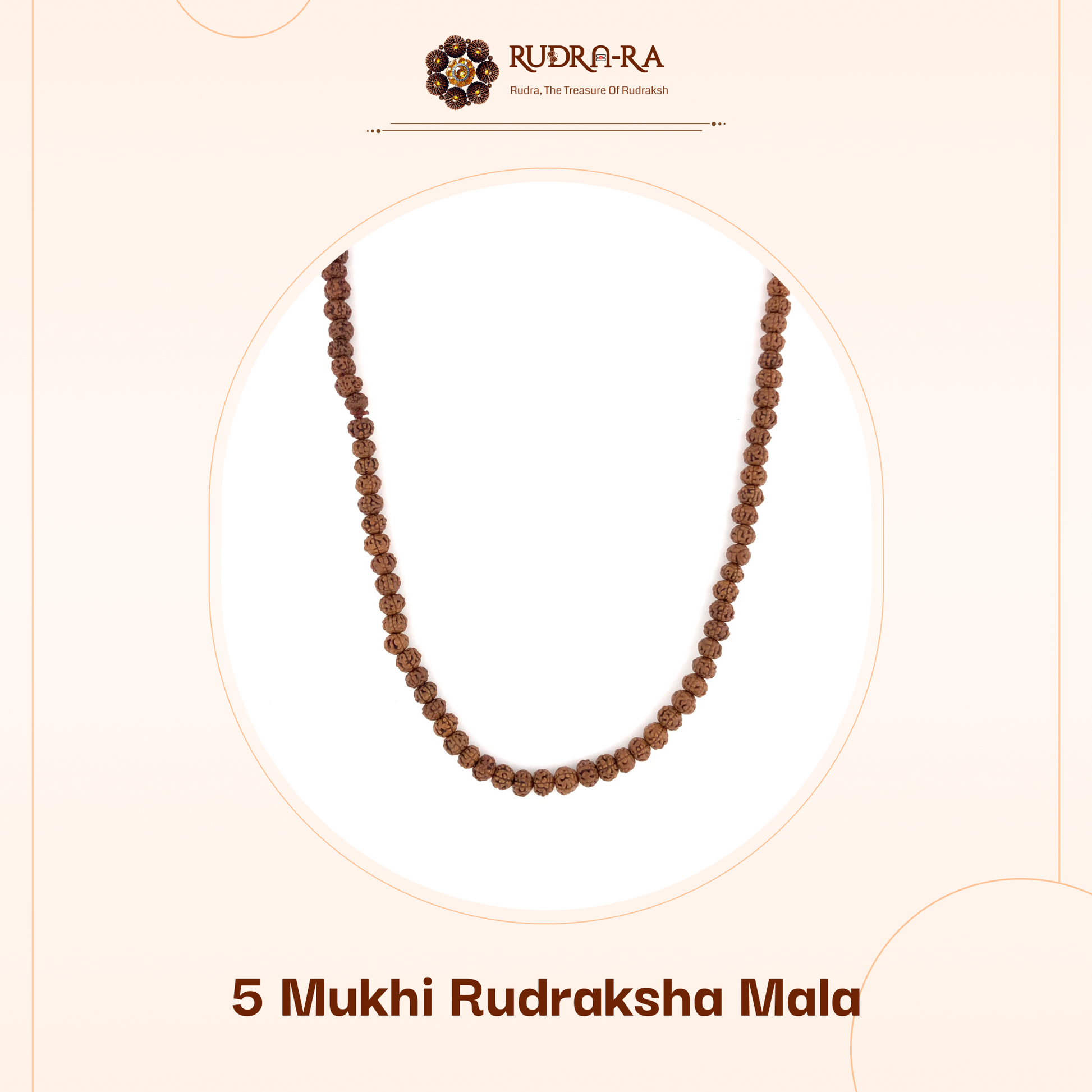 5_mukhi_himalay_01