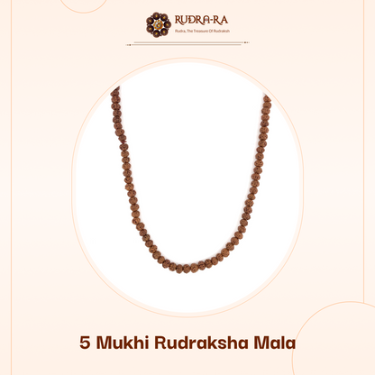 5_mukhi_himalay_01