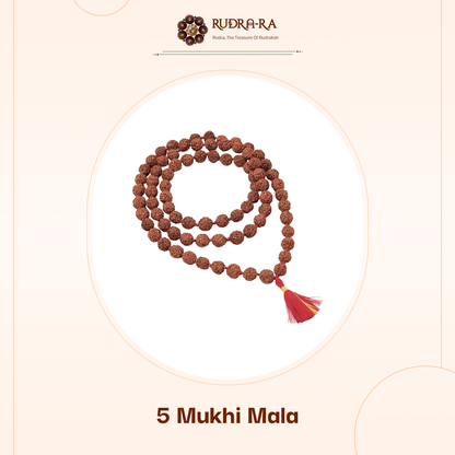 5 Mukhi Rudraksha Mala (14mm) – Indonesian Original
