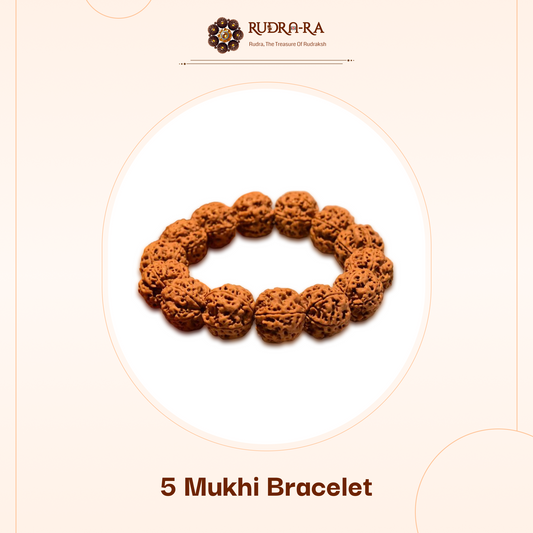 5_mukhi_bracelet011