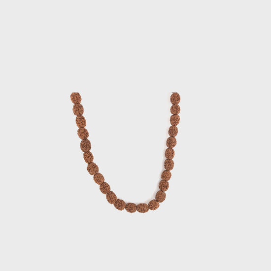 4_mukhi_rudraksh_indo_01