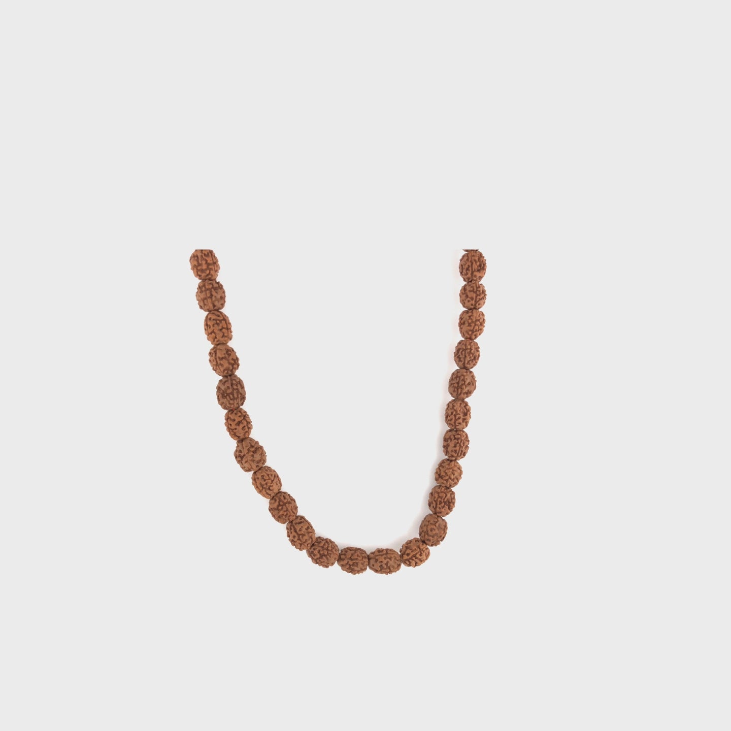 4_mukhi_rudraksh_indo_01
