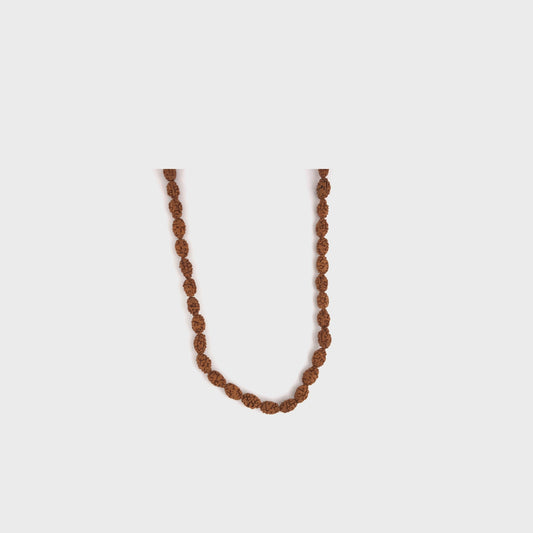 2_mukhi_rudraksh_mala_01