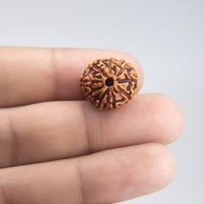 10 Mukhi Rudraksha