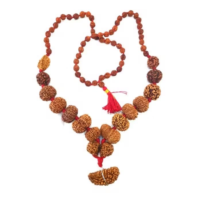 1 to 14 Mukhi Rudraksha Siddha Mala